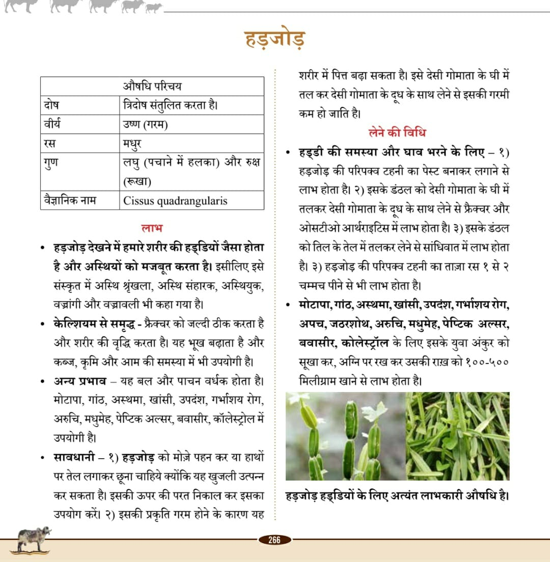 Vedic Pastures